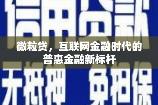 沙湾微粒贷，互联网金融时代的普惠金融新标杆