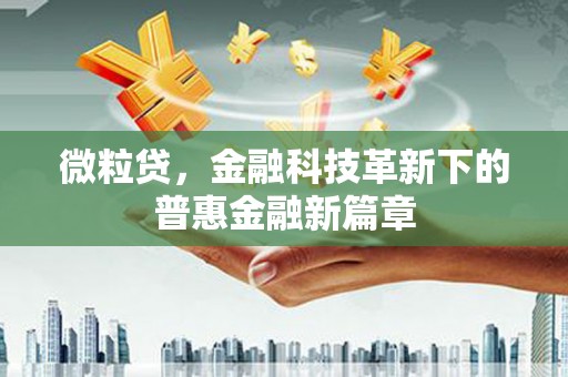 沙湾微粒贷，金融科技革新下的普惠金融新篇章