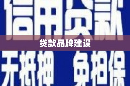 沙湾贷款品牌建设