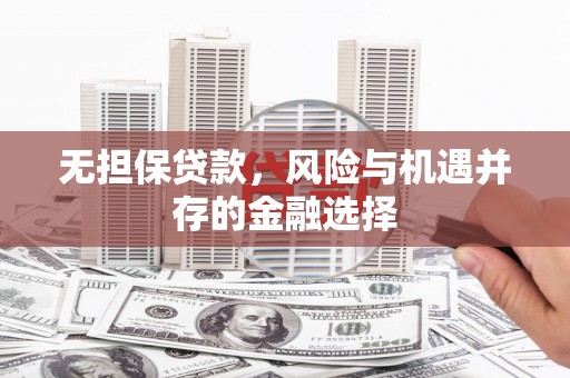 沙湾无担保贷款，风险与机遇并存的金融选择
