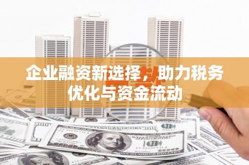 沙湾企业融资新选择，助力税务优化与资金流动