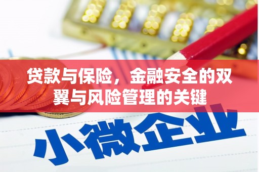 沙湾贷款与保险，金融安全的双翼与风险管理的关键