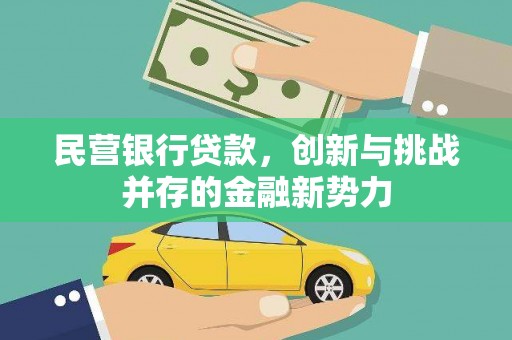 沙湾民营银行贷款，创新与挑战并存的金融新势力