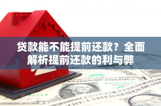 沙湾贷款能不能提前还款？全面解析提前还款的利与弊