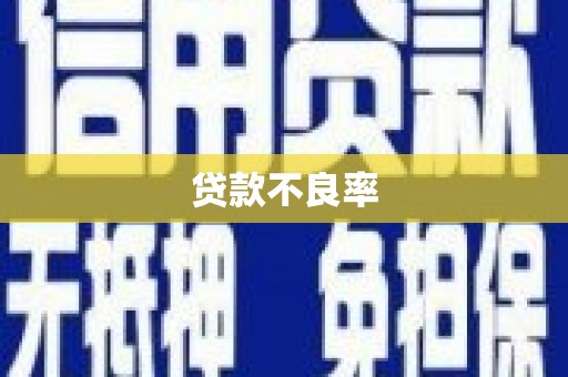 沙湾贷款不良率