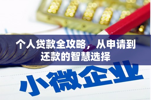 沙湾个人贷款全攻略，从申请到还款的智慧选择