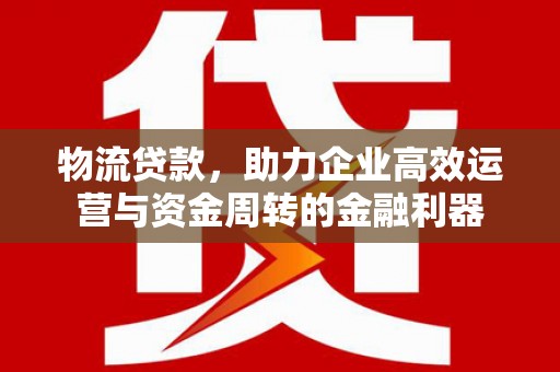 沙湾物流贷款，助力企业高效运营与资金周转的金融利器