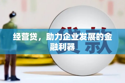 沙湾经营贷，助力企业发展的金融利器