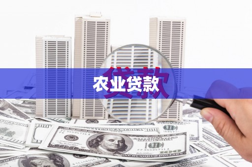 沙湾农业贷款