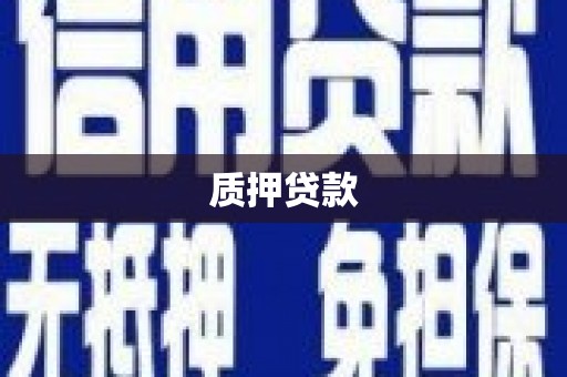 沙湾质押贷款