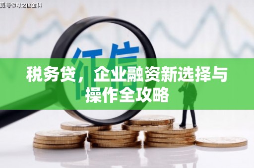 沙湾税务贷，企业融资新选择与操作全攻略