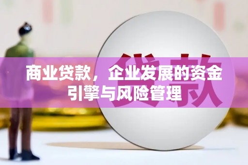 沙湾商业贷款，企业发展的资金引擎与风险管理