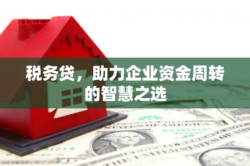 沙湾税务贷，助力企业资金周转的智慧之选