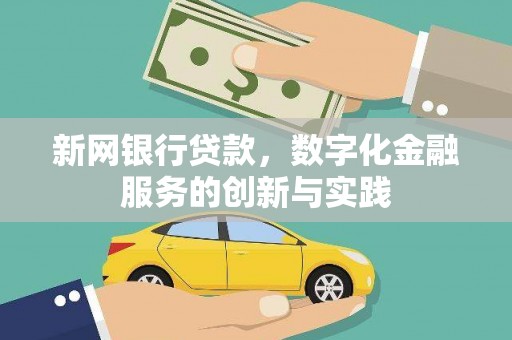 沙湾新网银行贷款，数字化金融服务的创新与实践