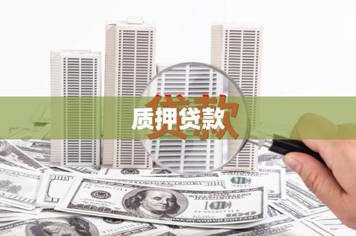 沙湾质押贷款