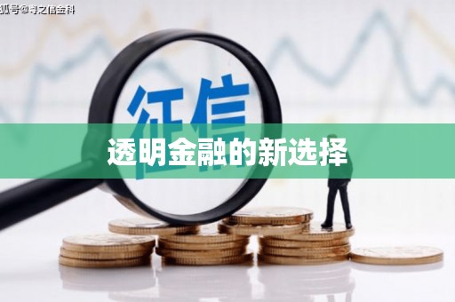 沙湾透明金融的新选择