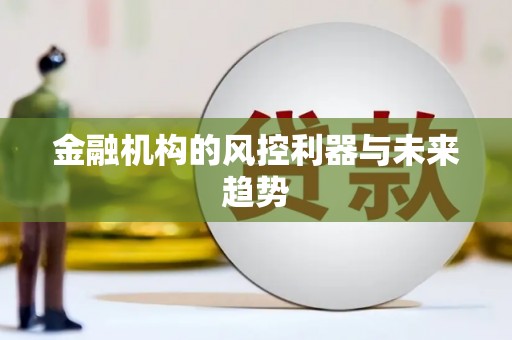 沙湾金融机构的风控利器与未来趋势
