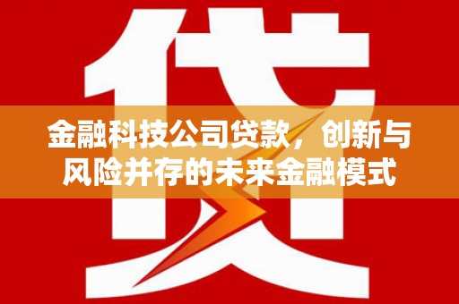 沙湾金融科技公司贷款，创新与风险并存的未来金融模式