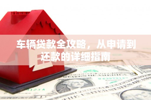 沙湾车辆贷款全攻略，从申请到还款的详细指南