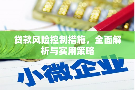 沙湾贷款风险控制措施，全面解析与实用策略