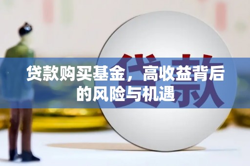 沙湾贷款购买基金，高收益背后的风险与机遇
