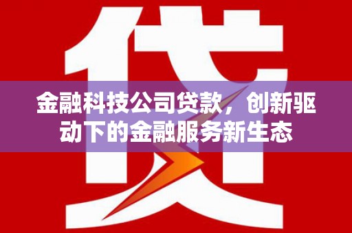 沙湾金融科技公司贷款，创新驱动下的金融服务新生态