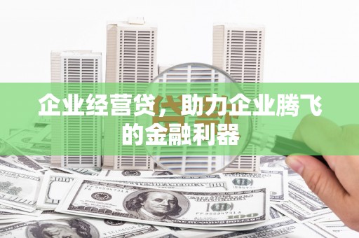 沙湾企业经营贷，助力企业腾飞的金融利器