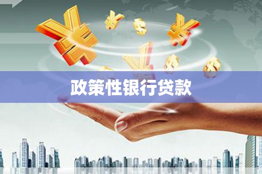 沙湾政策性银行贷款