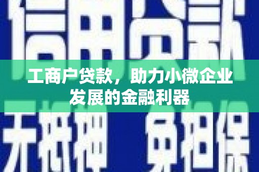沙湾工商户贷款，助力小微企业发展的金融利器