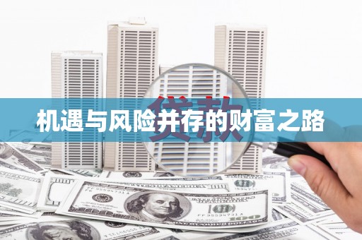 沙湾机遇与风险并存的财富之路