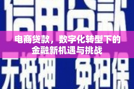 沙湾电商贷款，数字化转型下的金融新机遇与挑战