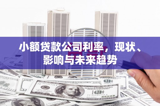 沙湾小额贷款公司利率，现状、影响与未来趋势