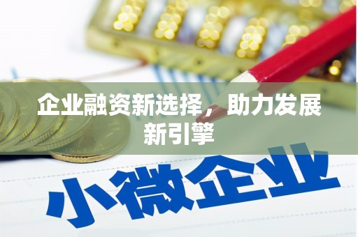 沙湾企业融资新选择，助力发展新引擎
