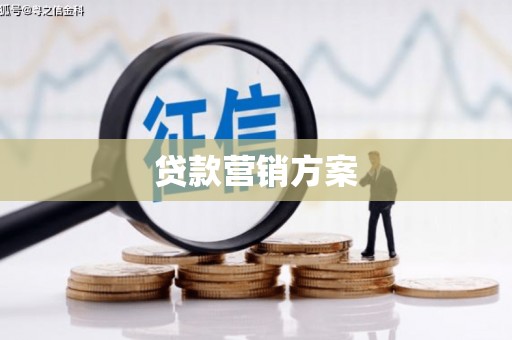 沙湾贷款营销方案