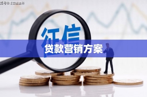 沙湾贷款营销方案