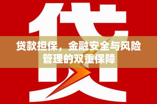 沙湾贷款担保，金融安全与风险管理的双重保障