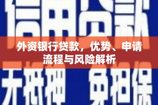 沙湾外资银行贷款，优势、申请流程与风险解析