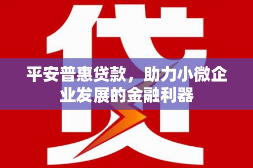 沙湾平安普惠贷款，助力小微企业发展的金融利器