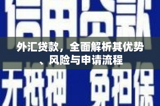 沙湾外汇贷款，全面解析其优势、风险与申请流程