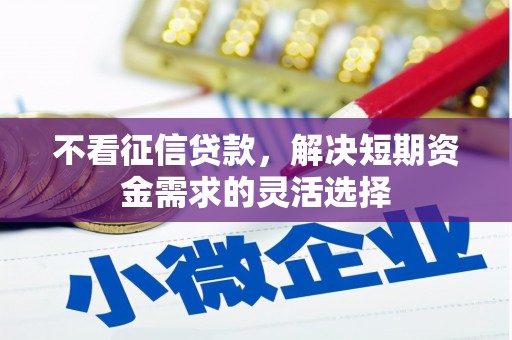 沙湾不看征信贷款，解决短期资金需求的灵活选择