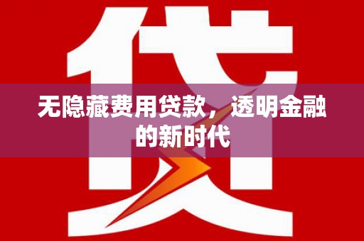 沙湾无隐藏费用贷款，透明金融的新时代