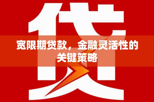 沙湾宽限期贷款，金融灵活性的关键策略