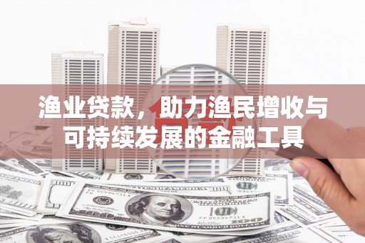 沙湾渔业贷款，助力渔民增收与可持续发展的金融工具