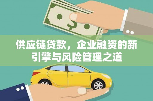 沙湾供应链贷款，企业融资的新引擎与风险管理之道