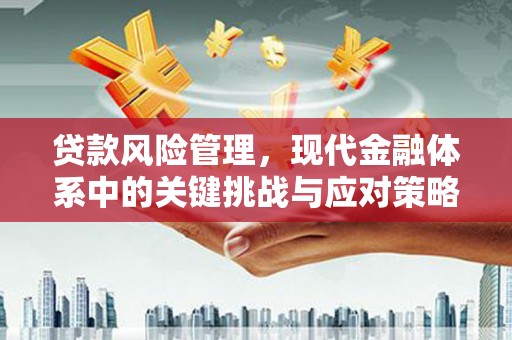 沙湾贷款风险管理，现代金融体系中的关键挑战与应对策略