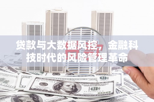 沙湾贷款与大数据风控，金融科技时代的风险管理革命