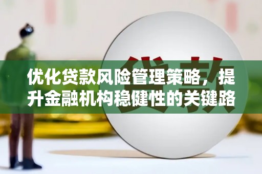 沙湾优化贷款风险管理策略，提升金融机构稳健性的关键路径