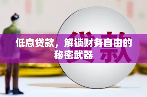 沙湾低息贷款，解锁财务自由的秘密武器