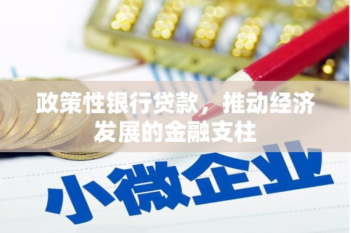 沙湾政策性银行贷款，推动经济发展的金融支柱