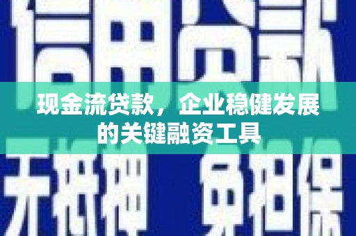 沙湾现金流贷款，企业稳健发展的关键融资工具